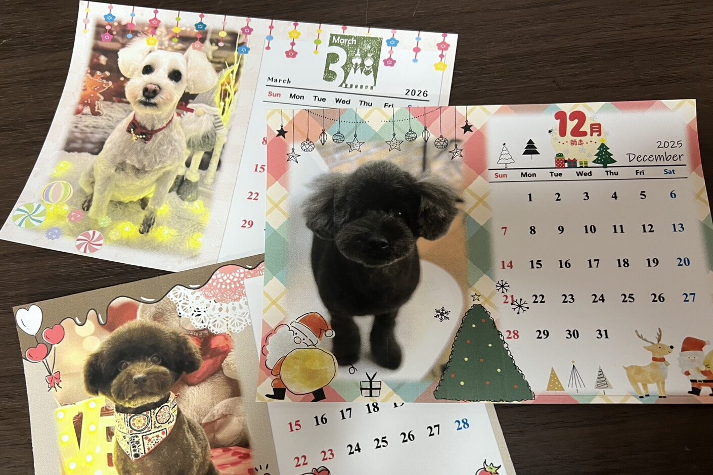 シャワー中の犬